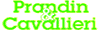 Company Sheet PRANDIN & CAVALLIERI snc