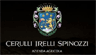Company Sheet CERULLI IRELLI SPINOZZI srl