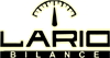 Scheda Azienda CURIONI BILANCE srl