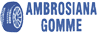 Scheda Azienda AMBROSIANA GOMME