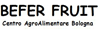 Company Sheet BEFER FRUIT srl