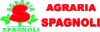 Scheda Azienda AGRARIA SPAGNOLI SPAGNOLI ILIO & FIGLI srl