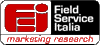 Scheda Azienda FIELD SERVICE ITALIA srl