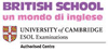 Scheda Azienda BRITISH SCHOOL FVG - UDINE