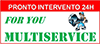 Scheda Azienda MULTISERVICE FOR YOU