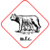 Company Sheet MANIFATTURA FODERAMI CIMMINO srl