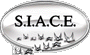Company Sheet S.I.A.C.E. ARMI di GELMINI GIUSEPPE & IVANO & C. snc