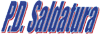 Company Sheet P.D. SALDATURA srl