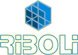Company Sheet RIBOLI srl