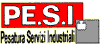 Company Sheet PE.S.I. srl