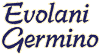 Scheda Azienda EVOLANI GERMINO srl
