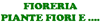 Scheda Azienda FIORERIA PIANTE FIORI E...