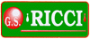 Scheda Azienda BILIARDI RICCI srl
