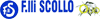 Company Sheet F.LLI SCOLLO srl