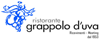 Company Sheet RISTORANTE GRAPPOLO D'UVA di AGOSTINO A MARE srl