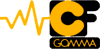Scheda Azienda C.F. GOMMA spa