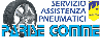 Company Sheet PARISE GOMME di PARISE RENATO & C. snc