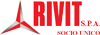 Scheda Azienda RIVIT spa