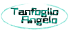 Company Sheet TANFOGLIO ANGELO