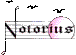 Scheda Azienda NOTORIUS STRUMENTI MUSICALI snc