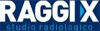 Scheda Azienda RAGGI X srl