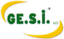 Company Sheet GE.S.I. srl