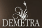 Company Sheet DEMETRA srl