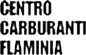 Scheda Azienda CENTRO CARBURANTI FLAMINIA