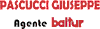 Scheda Azienda PASCUCCI GIUSEPPE TECNOCALOR - AGENTE BALTUR