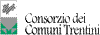 Company Sheet CONSORZIO DEI COMUNI TRENTINI SOCIETA' COOPERATIVA