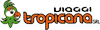 Scheda Azienda VIAGGI TROPICANA srl