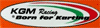 Company Sheet K.G.M. RACING di MUTO GIOVANNI & C. sas