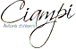 Company Sheet CIAMPI AUTORE D'INTERNI