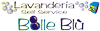 Company Sheet LAVANDERIA BOLLE BLU'