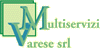 Company Sheet M.S.V. MULTISERVIZI srl