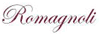 Company Sheet ROMAGNOLI L.T. srl