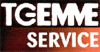 Company Sheet TG.EMME SERVICE srl