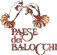 Company Sheet PAESE DEI BALOCCHI snc