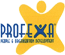 Company Sheet PROFEXA CONSULTING srl