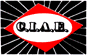 Company Sheet C.I.A.E. di PELLONI