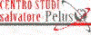 Scheda Azienda CENTRO STUDI SALVATORE PELUSO di GAETANA LANGELLA & C. S.