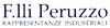 Scheda Azienda PERUZZO FRATELLI snc