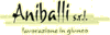 Company Sheet ANIBALLI srl
