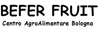 Scheda Azienda BEFER FRUIT srl