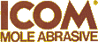 Company Sheet ICOM srl