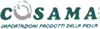Company Sheet COSAMA srl