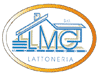 Company Sheet L.M.G. MONTAGGI srl