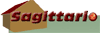 Scheda Azienda SAGITTARIO SERVIZI