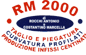 Scheda Azienda R. M. 2000 snc