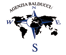Company Sheet BALDUCCI srl